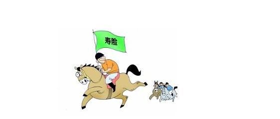 壽險(xiǎn)有什么作用？提前配置壽險(xiǎn)有必要嗎