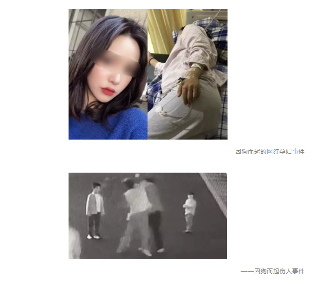 為什么不買保險(xiǎn)就不讓養(yǎng)狗？