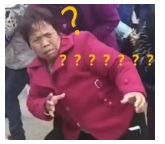 為什么不買保險(xiǎn)就不讓養(yǎng)狗？