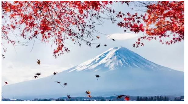 尊享e生值不值得購買？