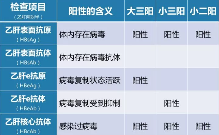 乙肝病毒攜帶者應(yīng)該如何正確投保？