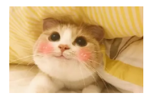 到底什么是保單貼現(xiàn)？