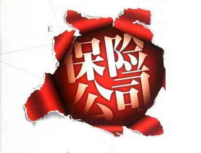 保險(xiǎn)公司償付能力怎么衡量 在哪里查詢(xún)？